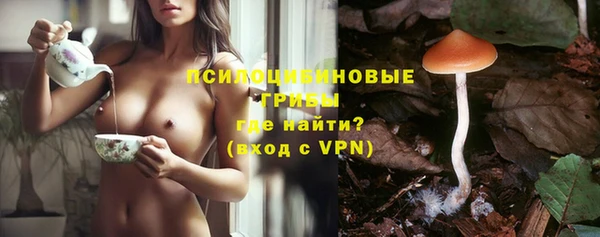 экстази Корсаков