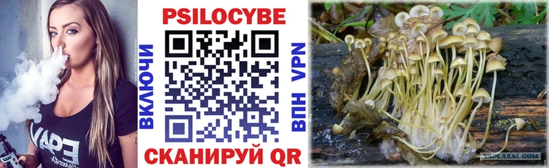 Купить закладки  Павловск  Псилоцибиновые грибы Psilocybine cubensis 